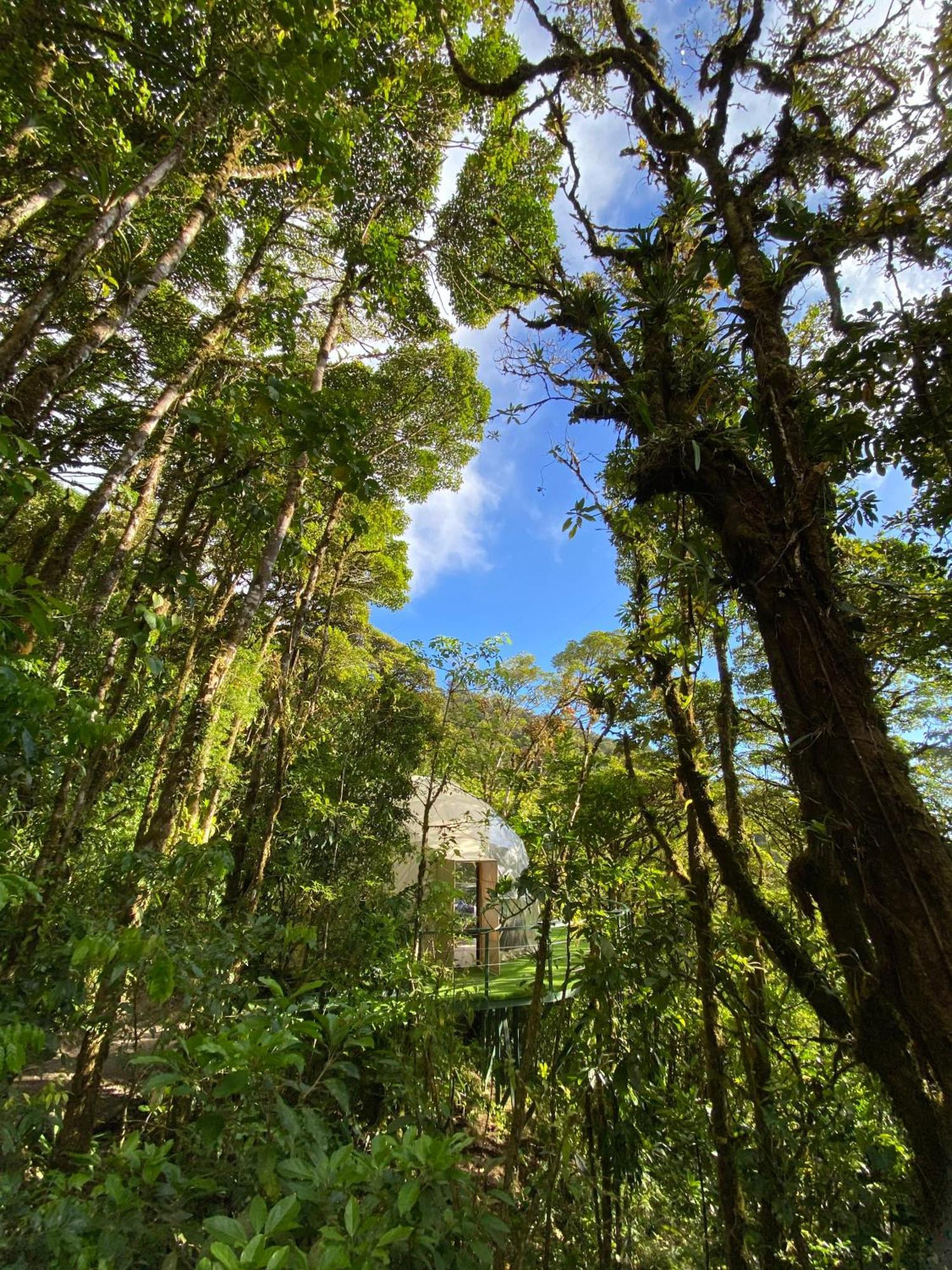Way To Heaven Glamping Hotel Monteverde Exterior foto
